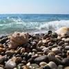 Морская вода в Сочи безопасна для купания