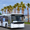 Режим работы автобусов в новогоднюю ночь