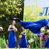 День семьи, любви и верности в Сочи 2017